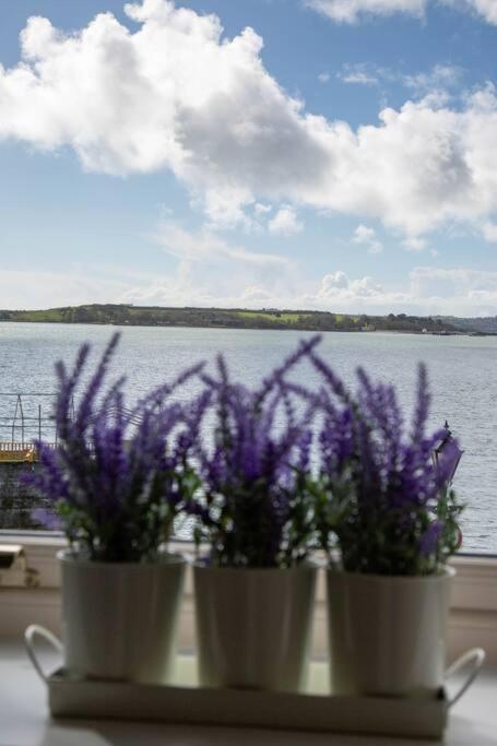 Unit 2 Island View Apartments With Stunning Harbour View Cobh Exterior foto